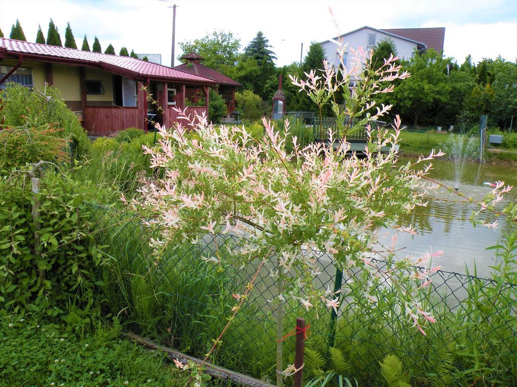 Pokoje Zabi Staw Mikołajki Dış mekan fotoğraf